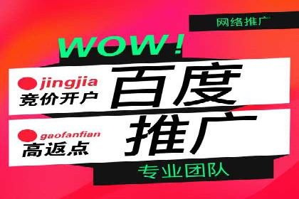 某知名品牌网络推广竞价全解析